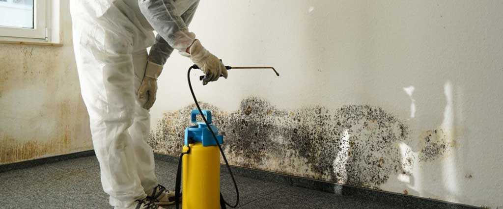 Mould Removal and Remediation Newcastle